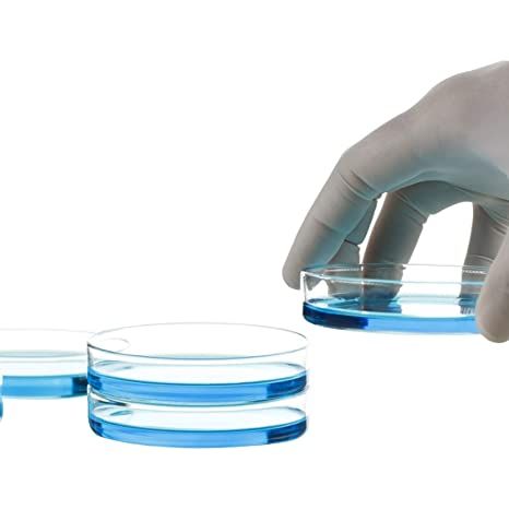 High%20Borosilicate%20Glass%20Petri%20Dishes%20with%20Lids%20Bacterial%20Culture%20Dishes,%20a%20Pack%20of%205PCS%20-%20Image%203