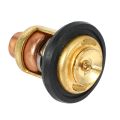 2Pc 66M-12411-00 Boat Ene Thermostat for Yamaha Outboard Motor Ene Part. 