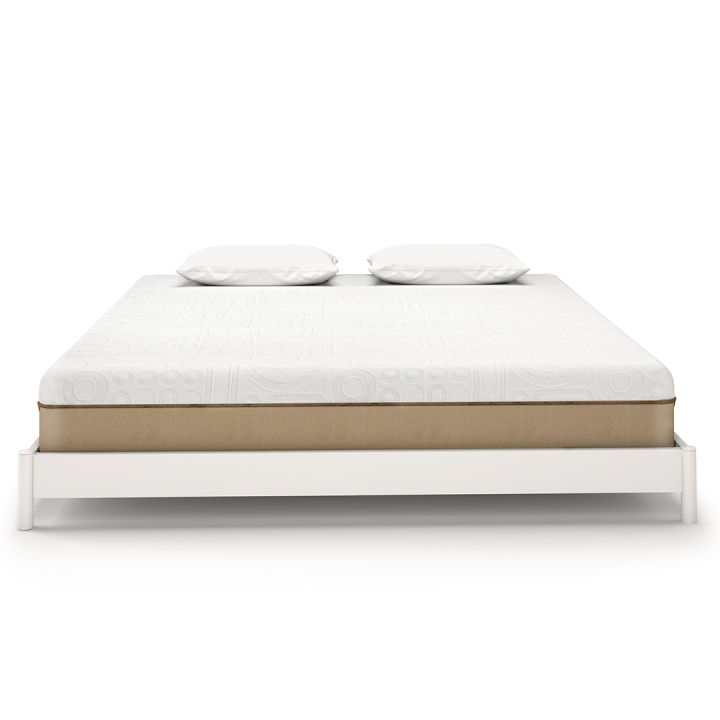 Molty%20Senior%20-%20Image%203