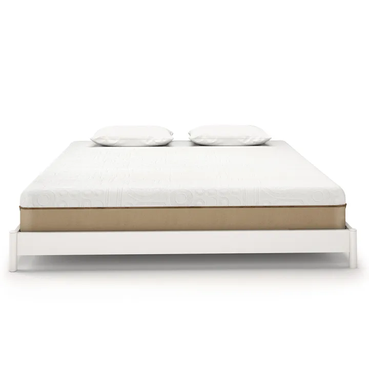 Molty%20Senior%20-%20Image%203