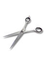 Glamorous Face Hair Cutting Scissor Professional Silver , Hair Shears 6.5 inch Hairdressing Hair Scissor,  Mustache Hair Dressing Scissors Stainless steel barber beard scissors Beard Grooming Beauty High Quality Facial Hair Cutting Scissor. 