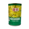 Amrican Green Sliced Mushrooms Tin Foods Fresh for Pizza Nircissus Canned Native Forest Organic Crimini Button Best Day  Pieces  Stems Specialty Imported Slightly Sweet and Juicy Texture 400gm. 