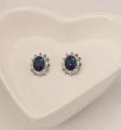 Navy Blue Suit, Blue Royal Princess Same Paragraph Imitation Gemstones Earrings Necklace Set. 