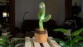 Dancing Cactus Toy Talking Cactus Plant (Green). 
