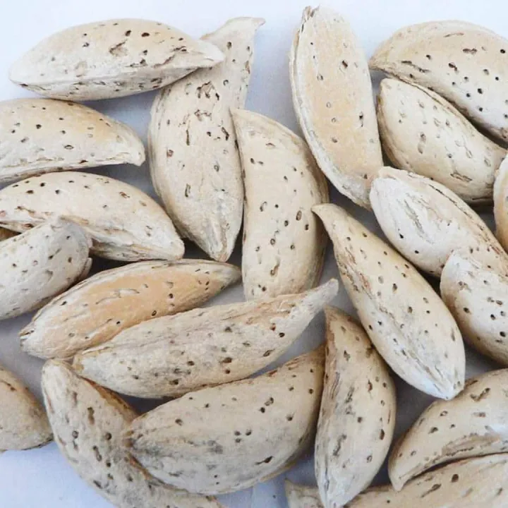 Soft-Shell Almond 500gm Pack (Kaghzi Badam) | Daraz.pk
