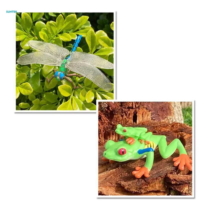 Life%20Cycle%20Figurines%20Toy%20Dragonfly%20Figures%20Red%20Eyed%20Tree%20Frog%20Figures%20for%20Desktop%20Decoration%20-%20Image%207