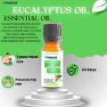 Eucalyptus Oil | Pure Essential Oil | سفیدہ آئل. 