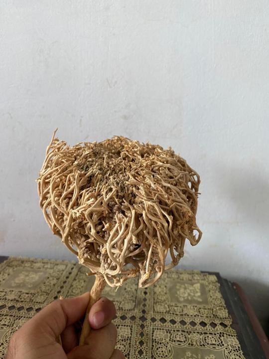 Maryam%20Booti%20100%20gm%20-%20Image%204