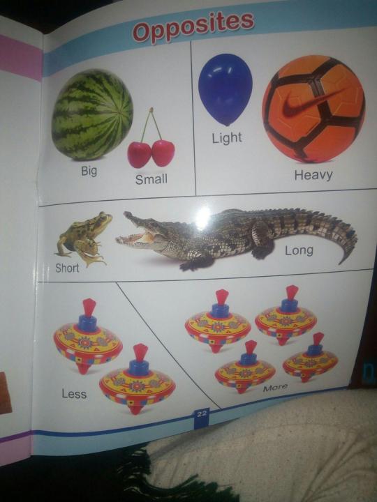 Book%20of%20general%20knowledge%20basic%20Learning%20words%20for%20kids%20with%20picture%7C%20high%20quality%20-%20Image%205