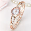 DaijingYTY Women's Watch Style Luxury Korean Brand Fashion Ladies Wrist Watch Women's Decorative Steel Band Quartz  Watches Women's Bracelet Watch Clock Gifts. 