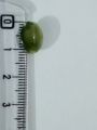 Green Marbled Oval Beads – Pack of 50gms/ 210 Beads | Glossy Finish for Jewelry Making, DIY, Crafts. 