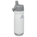 Stanley IceFlow Flip Straw Water Bottle With Straw 0.89L - Keeps Cold For 12+ Hours - Leakproof - Stainless Steel Water Bottle - BPA-Free Travel Mug - Easy to Carry - Dishwasher Safe - Tigerlily Plum 360ml portable. 