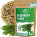 Horsetail Herb Horsetail Tea Cola De Caballo Hierba Horse Tail (Equisetum Arvense) - 200g Herb Tea Horse Tail. 