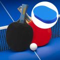 Table Tennis Cleaning Sponge Efficient Table Tennis Racket Cleaning Sponge Remove Stains with Ease Ping-pong Racket Care Accessories Table Tennis Paddle Sponge. 