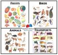 Sticker for Kids/ Sticker sheet 8 Pcs/ Urdu Sticker Pack / Animals, Birds, Fruits, Vegetables Stickers / Stickers for DIY Flashcards. 