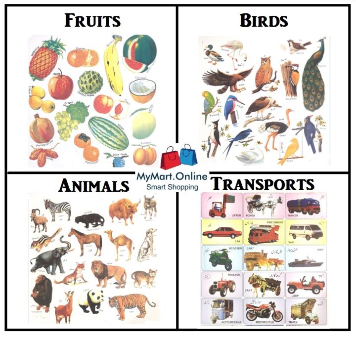 Sticker%20for%20Kids/%20Sticker%20sheet%208%20Pcs/%20Urdu%20Sticker%20Pack%20/%20Animals,%20Birds,%20Fruits,%20Vegetables%20Stickers%20/%20Stickers%20for%20DIY%20Flashcards%20-%20Image%202