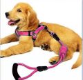 Harness + Leash (s,m,l ) PINK. 