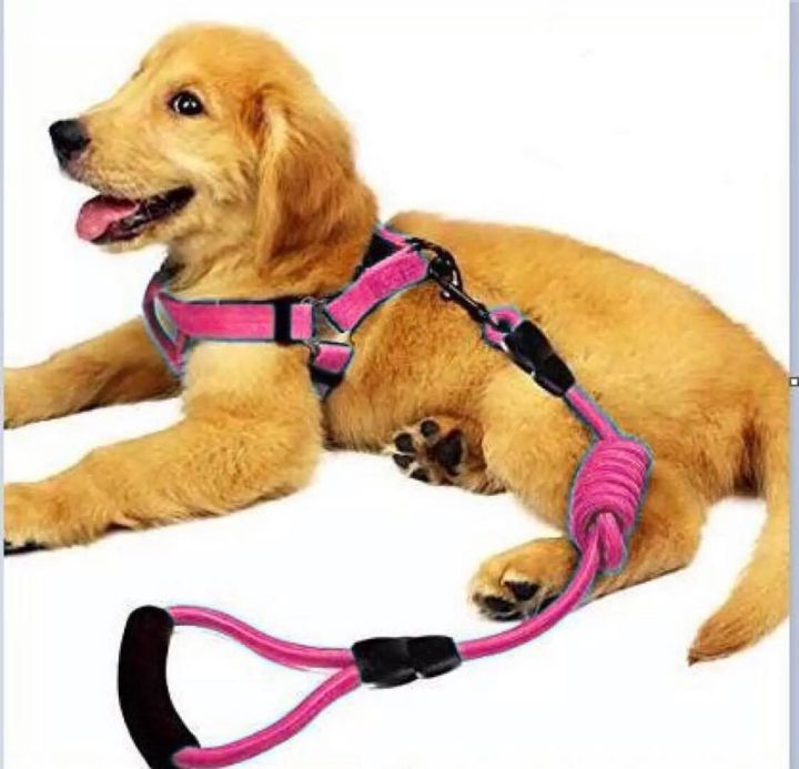 Harness + Leash (s,m,l ) PINK