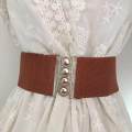 Wide Elastic Belt Elegant Dress Belt for Women Ladies Dress Accessories Brown. 