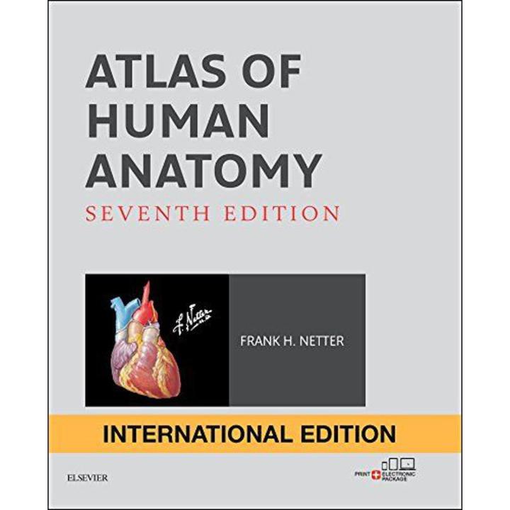 netters atlas anatomy - Frank H Netters anatomy