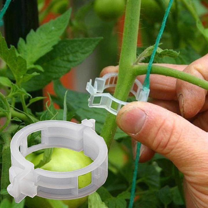 50pcs Trellis Tomato Clips Supports Connects Plants Vegetable Fastening Clip Sunlight Super Store