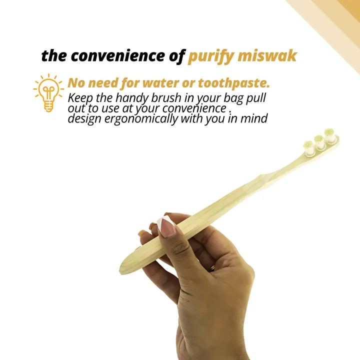 Purify%20Miswak%20Kit%20-%20%20Miswak%20Brush,%20%20Miswak%20Powder,%20&%209%20Replaceable%20Heads%20-%20100%25%20Natural%20Peelu%20Miswak%20Toothbrush%20%7C%20Natural%20Toothbrush%20%7C%20Miswak%20Toothbrush%20%7C%20Best%20for%20Kids,%20Men,%20and%20Women%20%7C%20Perfect%20for%20Gifting%20-%20Image%207