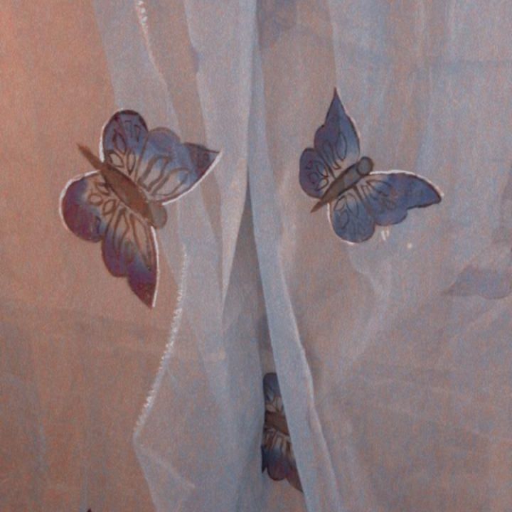 hand%20painted%20organza%20dupatta%20-%20Image%202