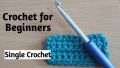 Crosia for Crochet Set of 12 Different Sizes. 