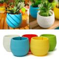 Colorful Succulent Planter Plastic Plant Flower Pot with Water Holders for Home Office Living Room Decoration, Mixed Colour - Plants not Included. 