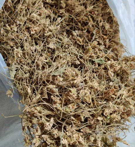 phool banafsha 50 gm | Daraz.pk