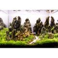 Dragon Stones For Aquarium Scaping 05kg. 