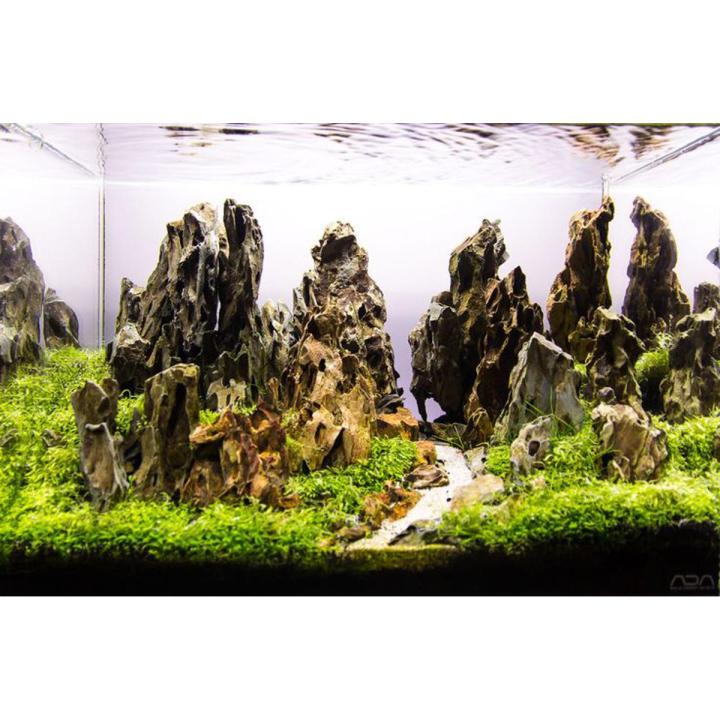 Dragon Stones For Aquarium Scaping 05kg