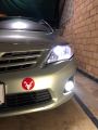 Markhor logo for car red color universal. 