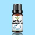 Ocean Fragrance Oil 10 ML - Candle Making Scent - Handmade Soap - Home Diffuser Aromatherapy Oil. 