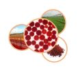 astaxanthin 5% 50-1000g Natural Astaxanthin Powder, Haematococcus Pluvialis Extract,Anti-oxidant.Relieve Fatigue and Enhance. 