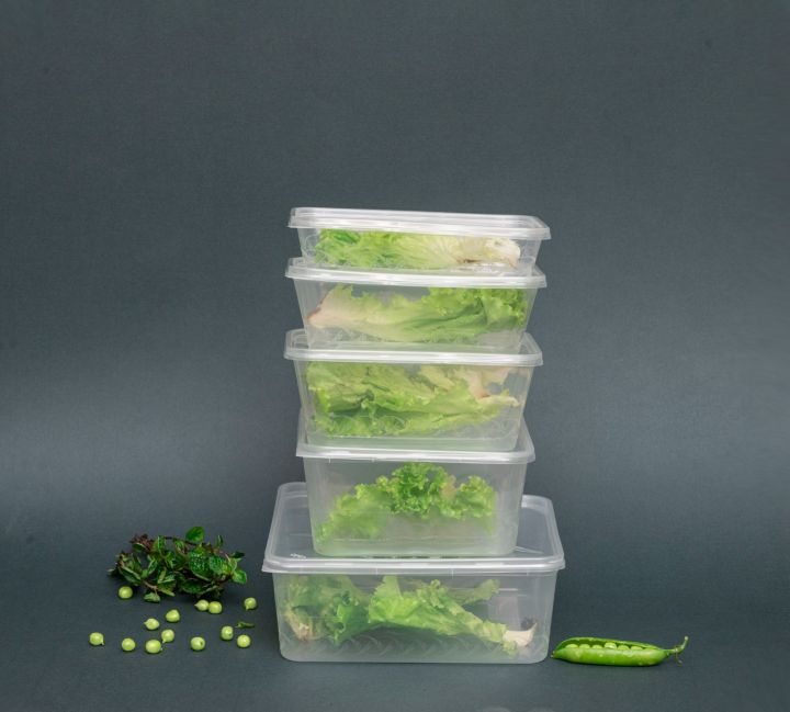 disposable Transparent Square food container 12 pices