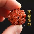 [ New ] Nepal Big Rudraksha Beads Bracelet Genuine Men's Hand Toy Five Faces Corpulent Original Seed Collectables-Autograph Bracelet Men's Bracelet. 