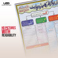 Urdu Grammar Wall Poster | Urdu Grammar Easy Explanation on Wall Chart for School | High Quality Readability on 200 gram Card 20*30 inches. 