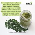 Moringa Oleifera (Suhanjna) Leaf Powder 100g. 