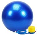 Exercise Ball Birthing Ball 65 cm Stability Balance Yoga Ball for Birthing & Physical Therapy with Quick Pump Stomach and Weight Loss Equipment (Office & Home & Gym). 