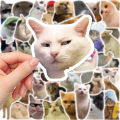 20+ Funny Cat Meme Stickers Pack, Digital Funny Cat Memes, Viral Funny Cats, Laptop Stickers, Mobile Stickers, Decals - JangoMango Store. 
