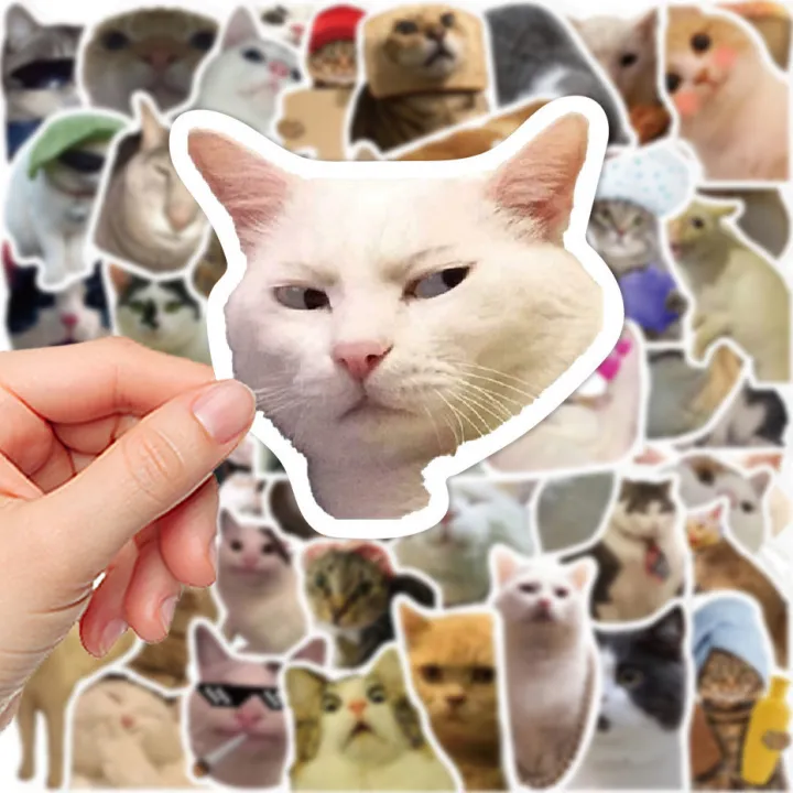 20+%20Funny%20Cat%20Meme%20Stickers%20Pack,%20Digital%20Funny%20Cat%20Memes,%20Viral%20Funny%20Cats,%20Laptop%20Stickers,%20Mobile%20Stickers,%20Decals%20-%20JangoMango%20Store%20-%20Image%202