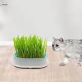 Tray Catnip Cultivation Box Wheatgrass Grower Detachable Pet Cats Grass Growing Cats for Microgreens Home. 