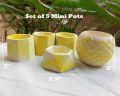 Set of 5 Mini Decorative Flower Pots for Home Office and Party Decoration, Artificial Flower Pots, Decorative Room Items, Fancy Home Decor by JangoMango Store. 