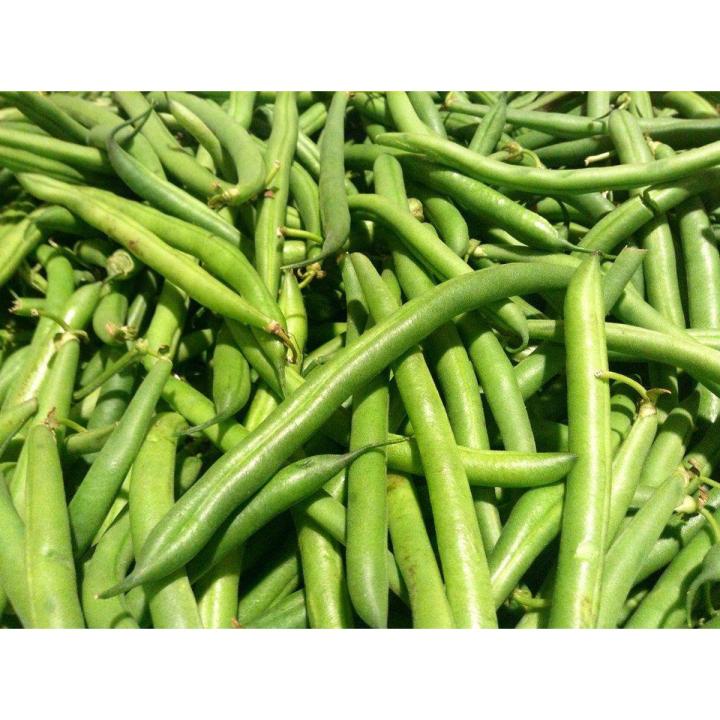 Green Fresh Frash Beans Kitchen Gardening Summer Vegetable Hybrid F1 Seeds