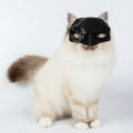 Cat Face Mask for Pets Black Cat Cosplay Hat Halloween Party Prop Half Face Cushion for Spooky Atmosphere Buyers' Favorite 3d Printed Cat Hat. 