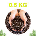 Organic Soilless Seed Starter Mix - Mixture of Vermicompost Coco Peat/Cocopeat and Perlite. 
