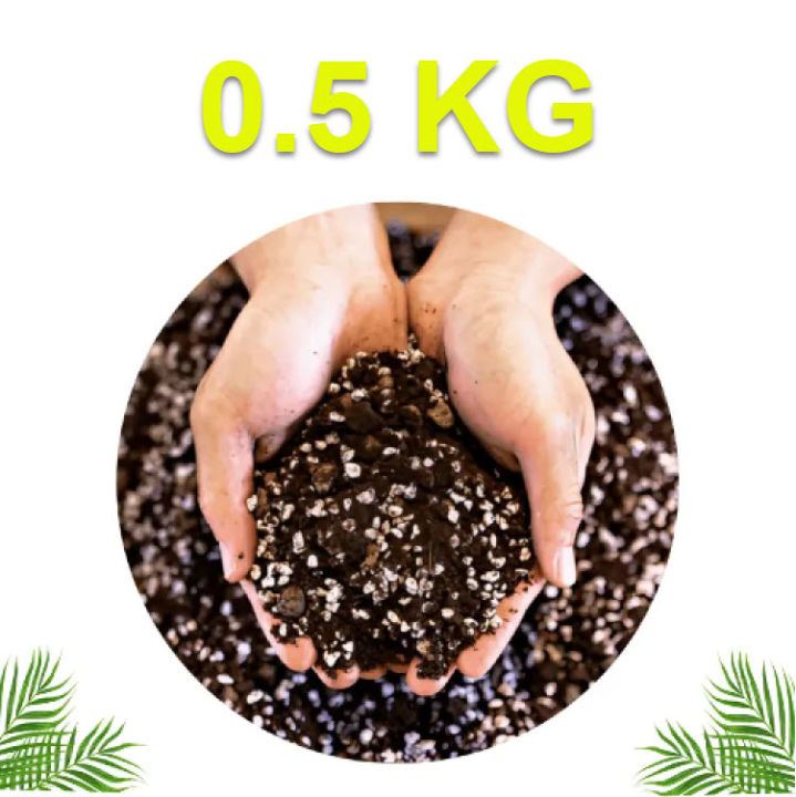 Organic Soilless Seed Starter Mix - Mixture of Vermicompost Coco Peat/Cocopeat and Perlite