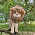 Funny Pets Clothes Cap Cute Cat Wig Lion Mane Costume Cosplay Kitten Dog Hat with Ears Fancy Party Supplies. 