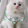 Cat Dress Cute Girl Cat Clothes Summer Dress for Dog Cat Clothing Red Blue Small Dog Chihuahua Clothes. 